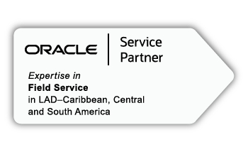 Icono_expertise_Field service